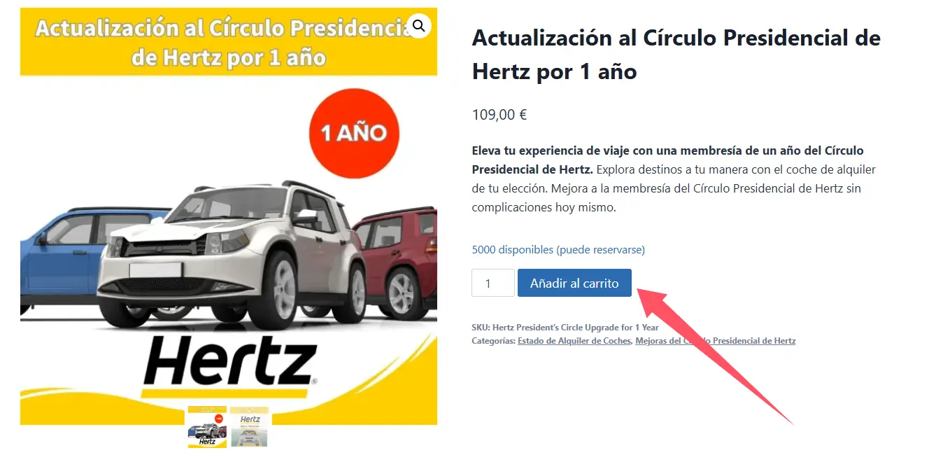 Guía completa sobre Hertz rental vehicle 8 Hertz rental vehicle -viphotelflights-3