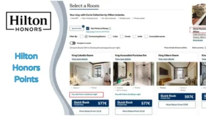 Home 8 ¿Cómo Usar Hilton Honors Points