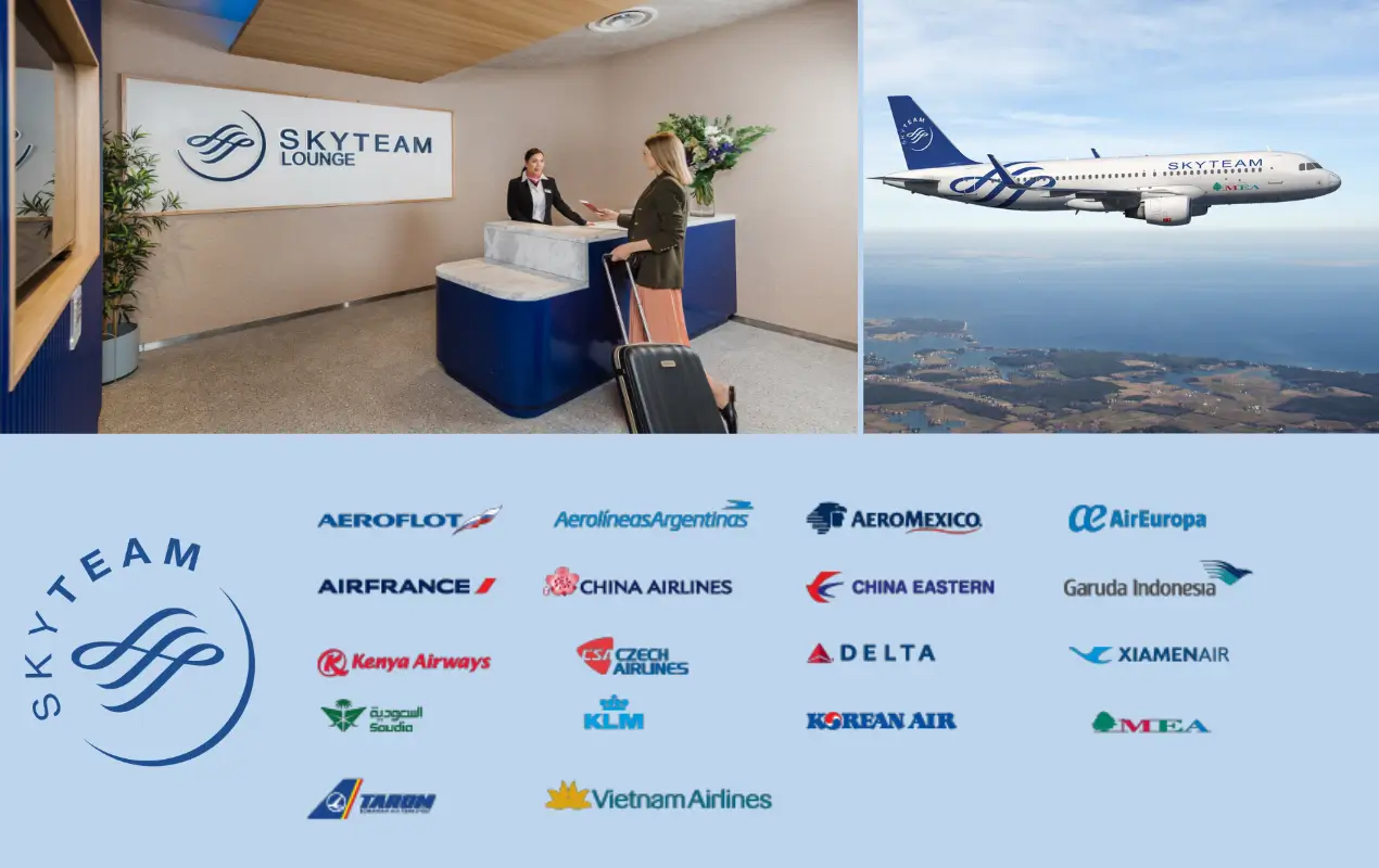 skyteam-fly